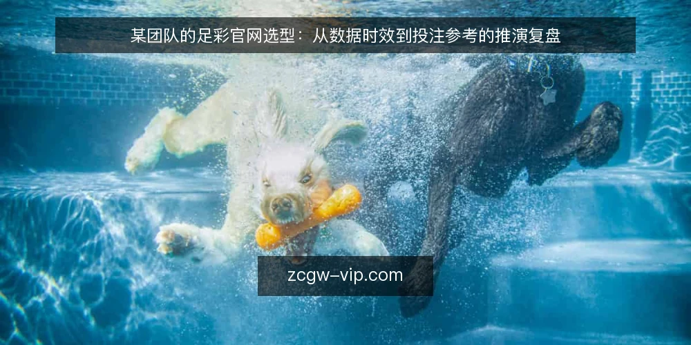 某团队的足彩官网选型:从数据时效到投注参考的推演复盘 — 场景与约束:为什么团队开始重新评估足彩官网 配图