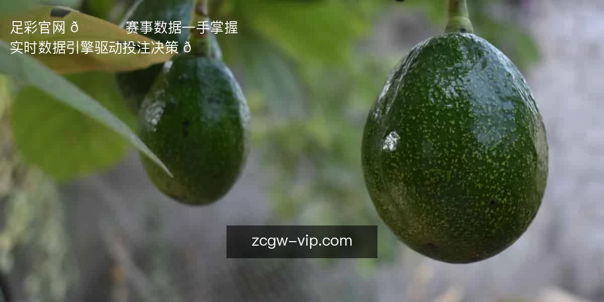 足彩官网